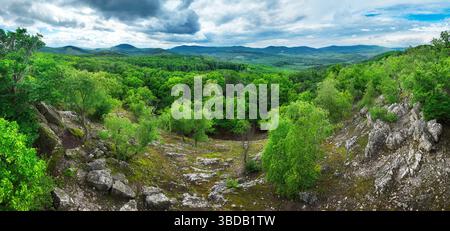 Wild mountains with coniferous forest and green slopes. Location place Carpathian mountains, Slovakia Stock Photo