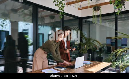 Two happy business women of young and middle age working in green office. Stock Photo