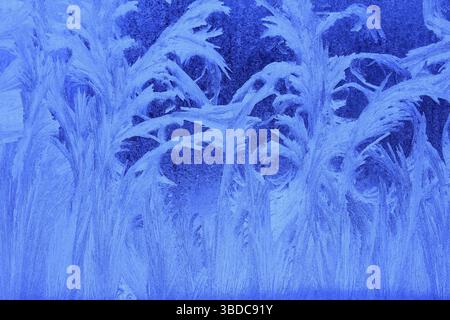 Ice flowers on a window pane Ice flowers on a window pane Stock Photo