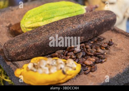 Cocoa Beans and Cocoa fruit in Mijas, Malaga, Spain Stock Photo