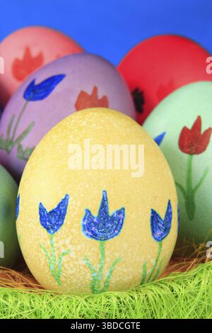 Colorfully painted Easter eggs in green Easter nest Colorfully painted Easter eggs in green Easter nest Stock Photo
