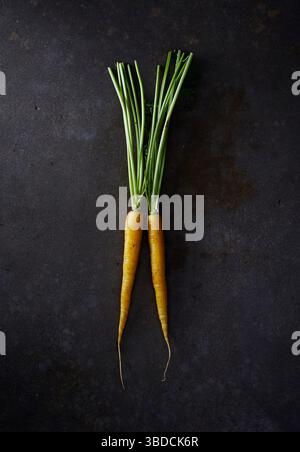 Colorful heirloom carrots arranged on a dark stone surface Stock Photo