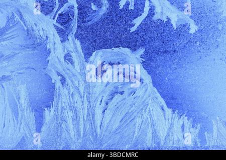 Ice flowers on a window pane Ice flowers on a window pane Stock Photo