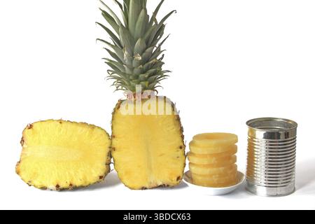 Pineapple (Ananas comosus, Ananas sativus) Pineapple (Ananas comosus, Ananas sativus) Stock Photo