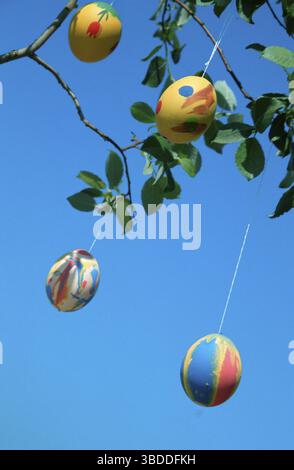 Easter Eggs as decoration on branches, customs, traditions, vertical, Germany Stock Photo