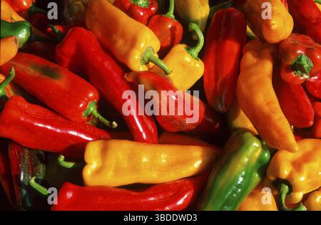 Pepper at market stall, Asti, Piemont, Italy (Capsicum annuum) Stock Photo