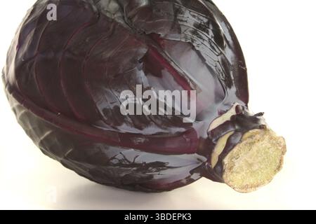 Fresh head of red cabbage on a white background Stock Photo