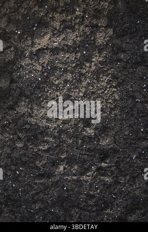 Dark brown plant soil, background texture, full frame, gardening and ecology concept, copy space Stock Photo