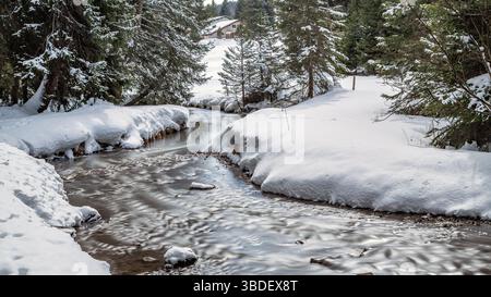 stream meanders through a snow-covered forest in Lenzerheide Stock Photo