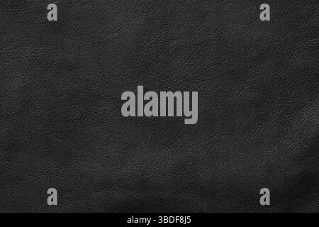 black leather texture, skin surface as dark background Stock Photo