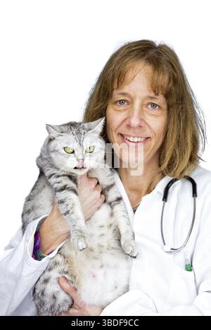 Dutch female veterinarian holds adult british shorthair black silver tabby cat isolated on white background Stock Photo