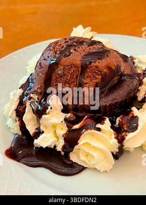 Chocolate cake with chocolate ice cream and cream. Stock Photo