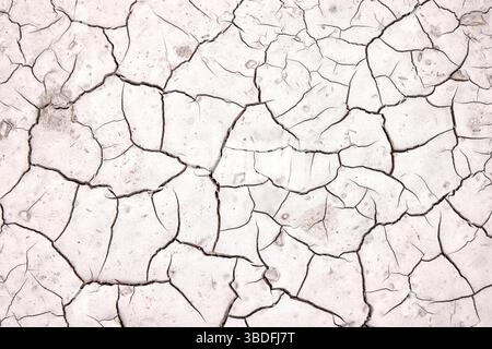 A dry landscape shows cracked earth, revealing the impact of insufficient rainfall and prolonged drought. The sunlight emphasizes the intricate patter Stock Photo