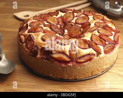 Delicious plum cake made from organic ingredients in a baking plate on a rustic kitchen table, seasonal food or healthy eating Stock Photo
