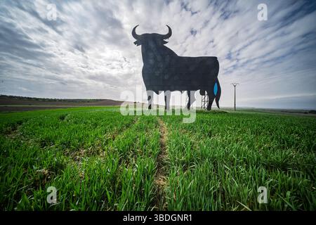 A large silhouette of a bull rises over a vibrant green wheat field in the countryside of Seville, Andalusia, under a cloudy sky. Stock Photo