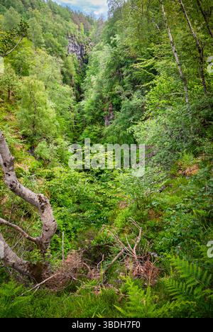 A summer, portrait HDR image of Corrieshalloch Gorge by Braemore Junction near Ullapool in Wester Ross, Scotland. 07 June 2009 Stock Photo