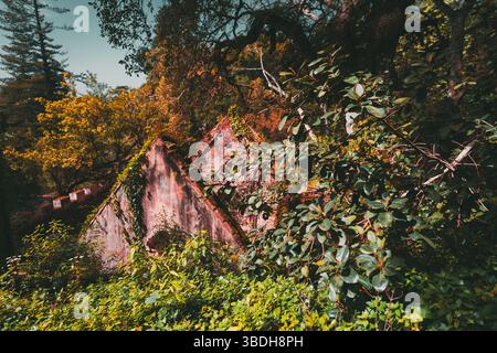 Overgrown ruins of an old house nestled in the lush, vibrant forest of Sintra, Portugal. The crumbling pink walls and ivy-covered rooftops blend into Stock Photo