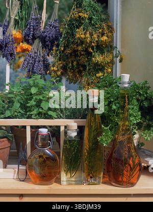 Windowsill with herbs and bottles with oil and vinegar, windowsill with herbs and bottles with oil and vinegar, inside, herbs Stock Photo