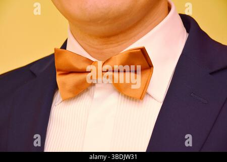 groom with beige bow tie Stock Photo