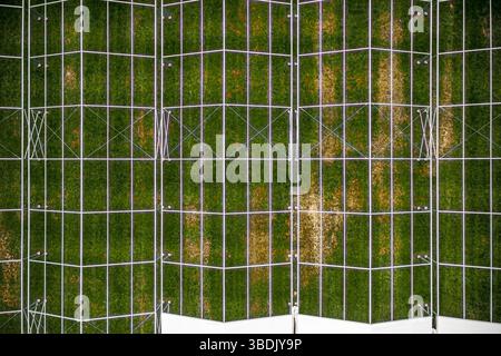 Abstract top-down view of a white metal grid structure laid over discolored green and yellow grass, creating a strong geometric pattern. Stock Photo
