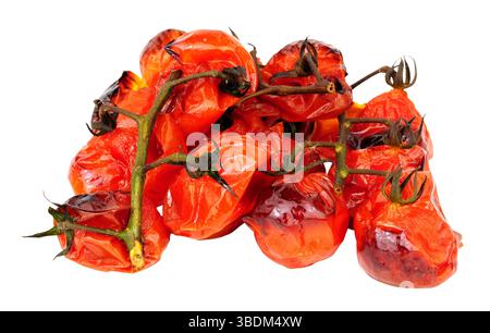 Group of charred oven roasted vine tomatoes isolated on a white background Stock Photo