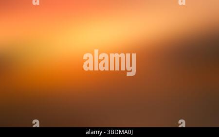 Orange yellow orchid gold peach white abstract gradient background Stock Photo