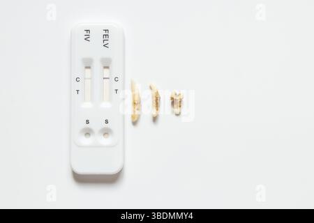Photo inspiration: Cat Teeth With Plaque And Express Test For Viral Leukemia Photo Inspiration