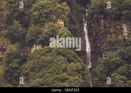 Lush woodland surrounds a tall waterfall flowing down rugged cliffs on the Isle of Skye, Scotland, in summer light. Stock Photo