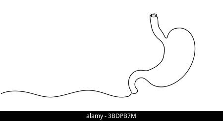 Single continuous line of Stomach. Line art of Stomach human organ. Trendy minimalistic style. Vector illustration. Editable stroke. Stock Vector