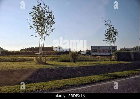 The image shows two young trees planted by the roadside, supported by wooden frames. In the background, there are billboards and a grassy field. The s Stock Photo