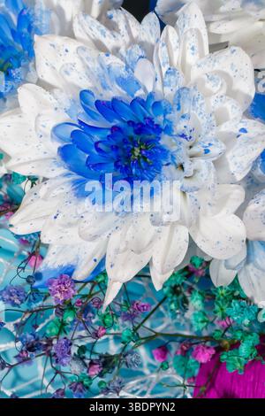 A striking display of a blue and white floral arrangement featuring bold blooms and delicate accents. Vivid colors and textures create a lively compos Stock Photo