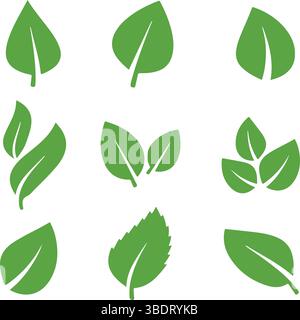 Icon set about maple leaf, leaves. Icons, flat vector illustrations Stock Vector