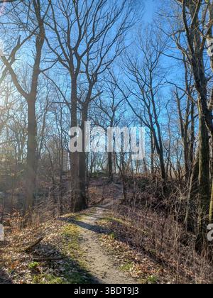 Toronto, ON, Canada – April 16, 2024: A narrow dirt trail winds uphill through a leafless forest under clear spring skies. Stock Photo