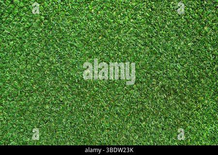 Artificial grass fence coating pattern as background and design element Stock Photo
