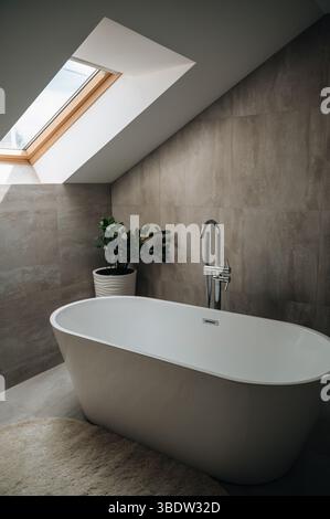 Modern bathroom with skylight and green plant. High quality photo Stock Photo