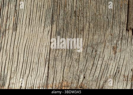Top view of a bamboo cutting board on a brown textured background. Perfect for food preparation or rustic kitchen presentations.  Round wooden tray on Stock Photo