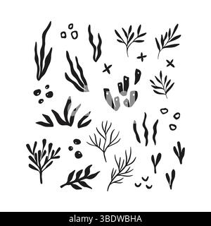 Hand drawn corals and seaweed silhouette isolated on white background ...