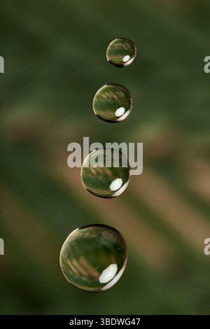 Water droplets, suspended in mid-air, against a blurred green background. Stock Photo