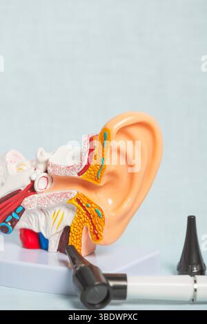 Plastic anatomical model of human ear highlighting inner ear structure with otoscope for examination lying near Stock Photo