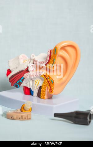 Plastic anatomical model of inner ear structure displayed with hearing aid and otoscope illustrating hearing loss treatment Stock Photo
