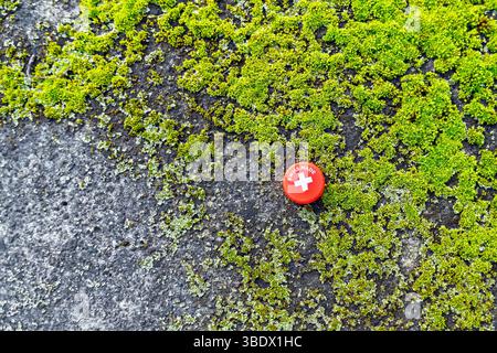 Contrast: Red Swiss Made Bottle Cap Litter on Natural Green Moss and Grey Rock. Stock Photo