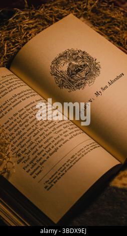 Vintage paper texture with old book aesthetic, weathered manuscript page, antique literature feel, and nostalgic handwritten ambience. Stock Photo