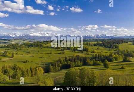 Vibrant green hills stretch across the view, framed by majestic snow-capped Tatra mountains and a clear blue sky dotted with fluffy clouds on a sunny Stock Photo