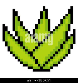 Aloe vera plant with pixel art isolated on white background Stock Vector