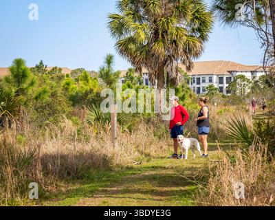 Couple with dog walking on trail in Scherer Thaxton Preserve in Venice Florida USA Stock Photo