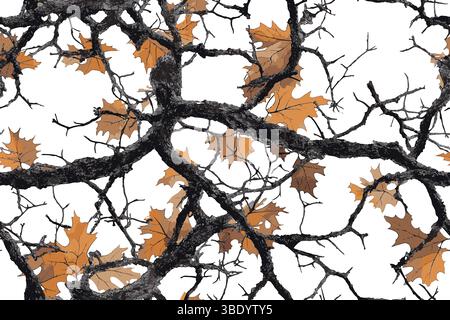 Real tree forest camouflage seamless pattern design pattern for hunting and military uniform. Hunting camouflage background. Vector camouflage texture Stock Vector