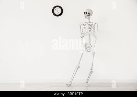 Human skeleton model near clock on light wall Stock Photo