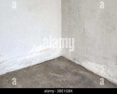 A corner where the wall and concrete floor meet Stock Photo