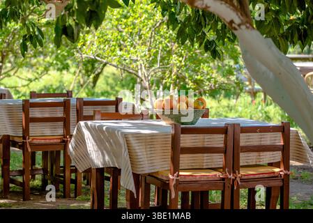 Wicker basket filled with fresh oranges on an outdoor garden table Stock Photo