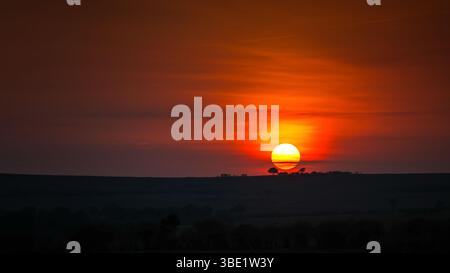 Trees on the horizon at sunrise in the Masai Mara, Kenya. Silhouette against colourful sky with the sun on the horizon. Stock Photo